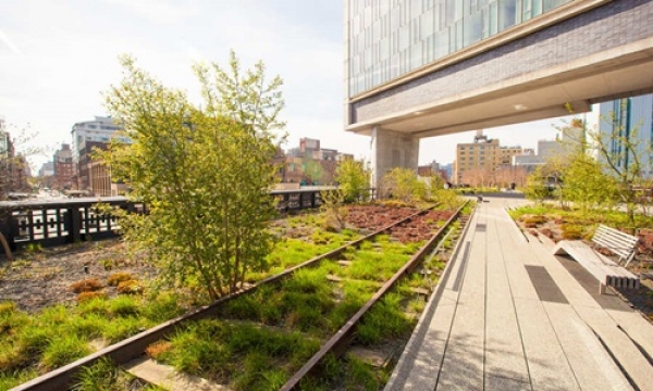 Conoce acerca de la sostenibilidad y diseño urbano en la actualidad